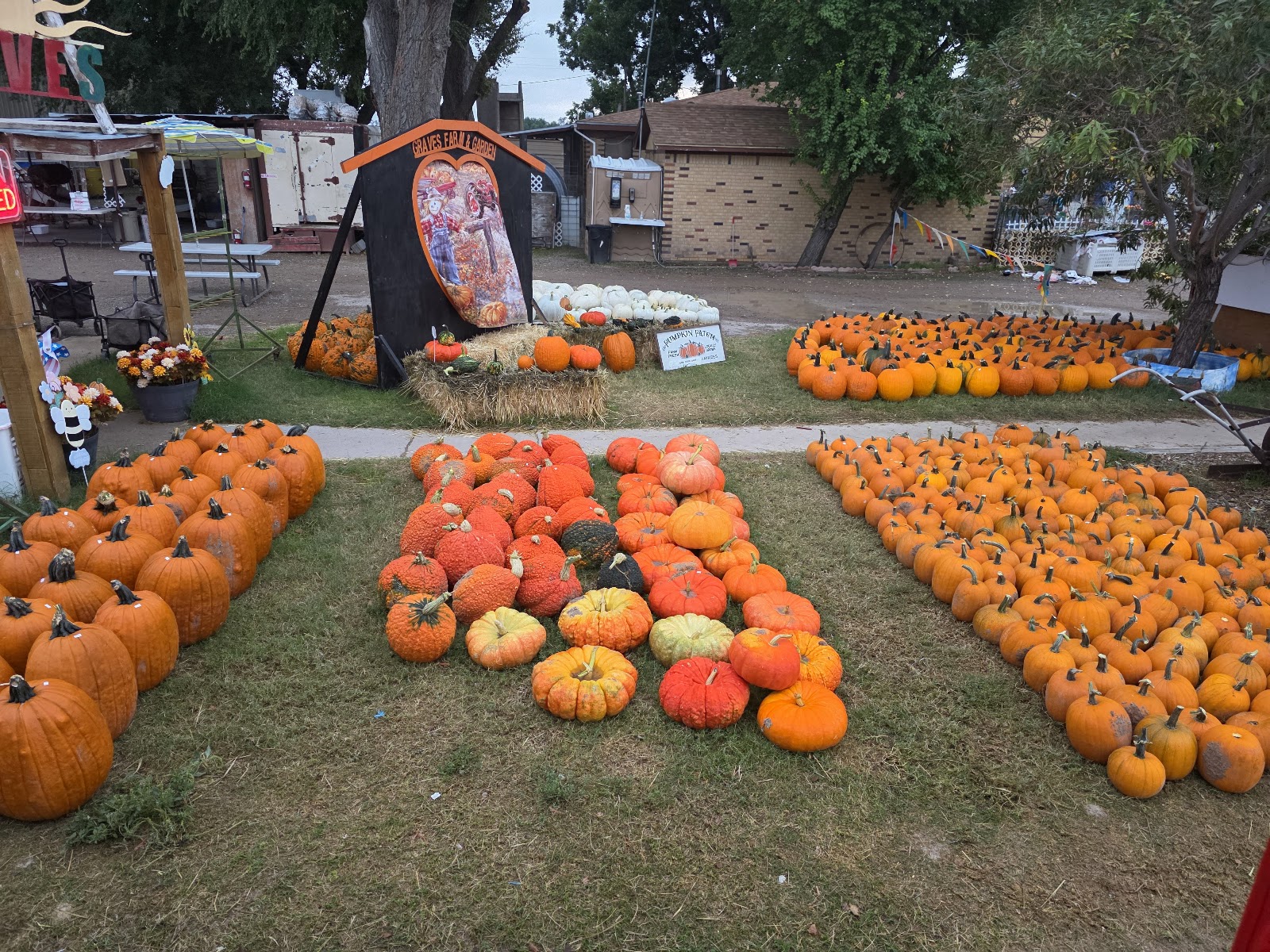 Graves Farm & Garden Roswell, NM Photos & Videos