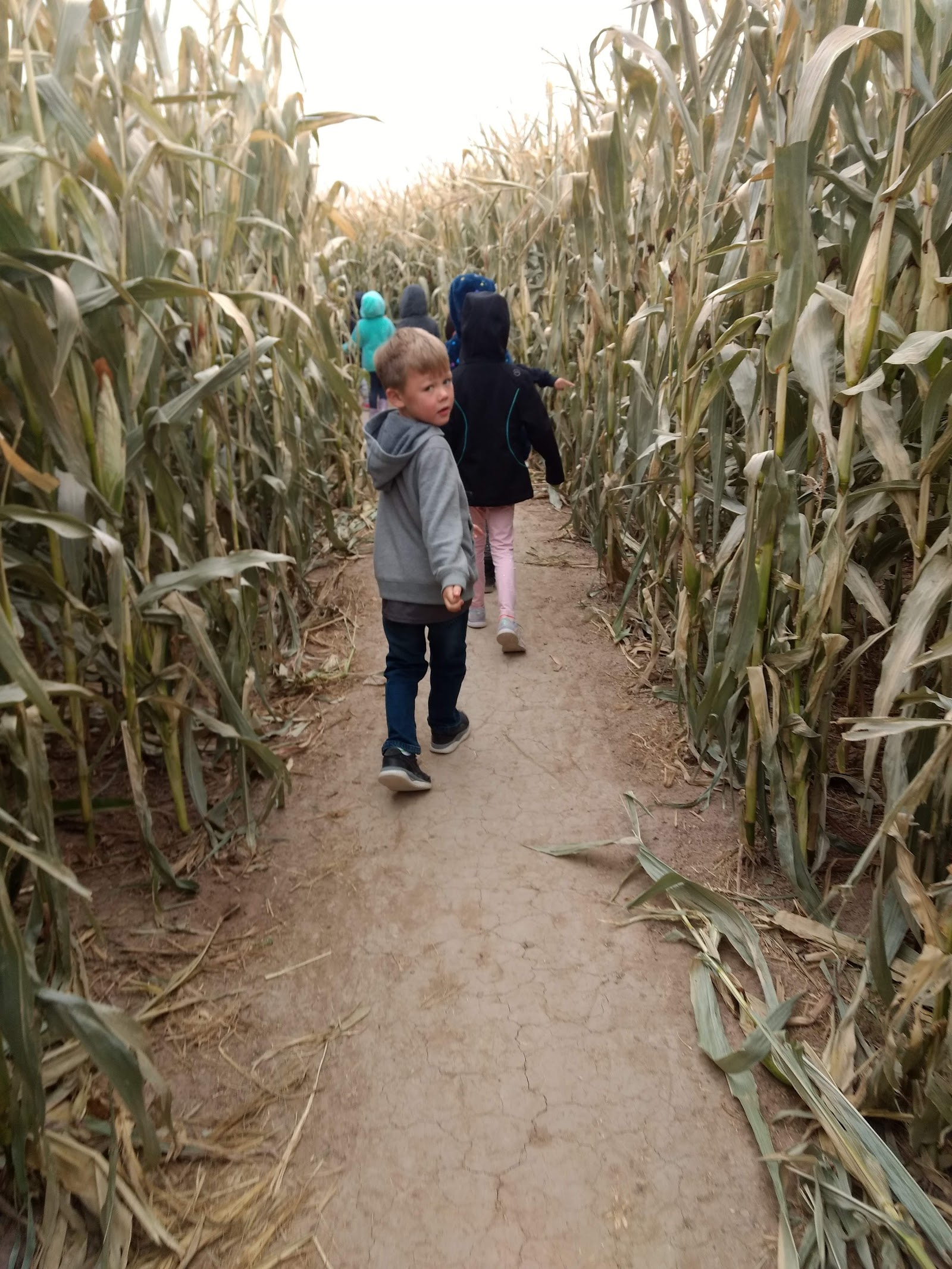 Graves Farm & Garden Roswell, NM Photos & Videos
