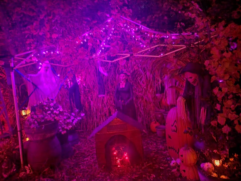 Spooky Stalks Haunted