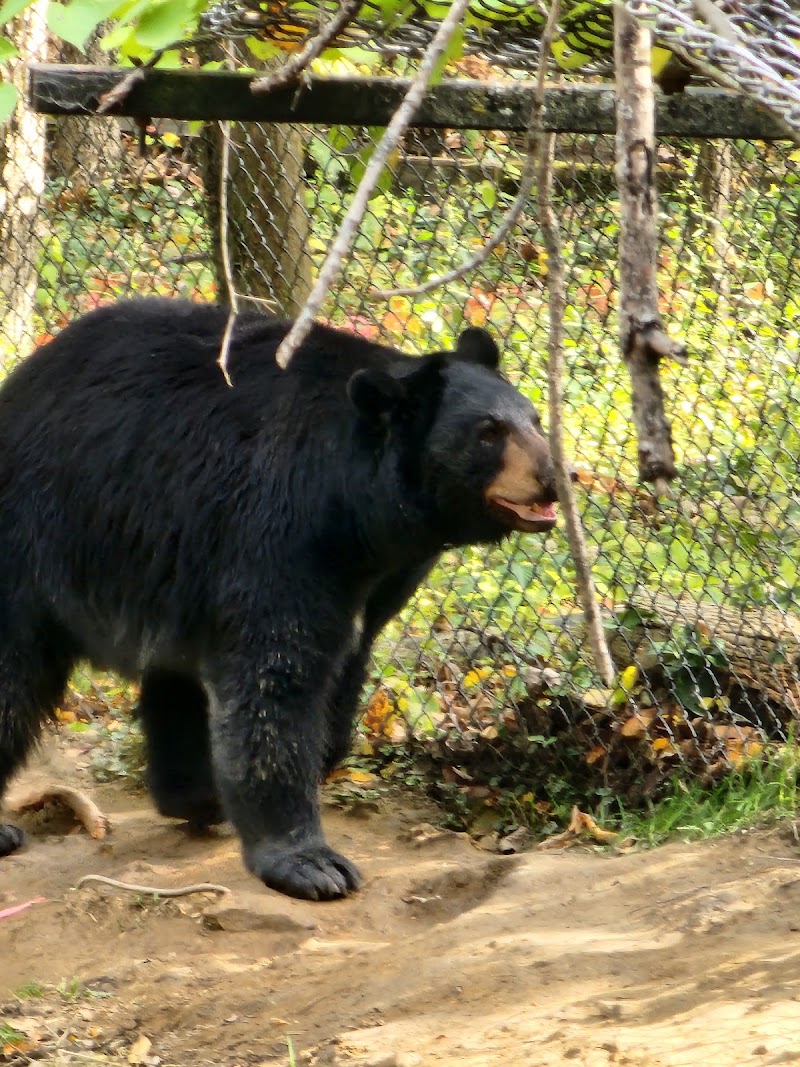 Wildlife Scary Park 2025