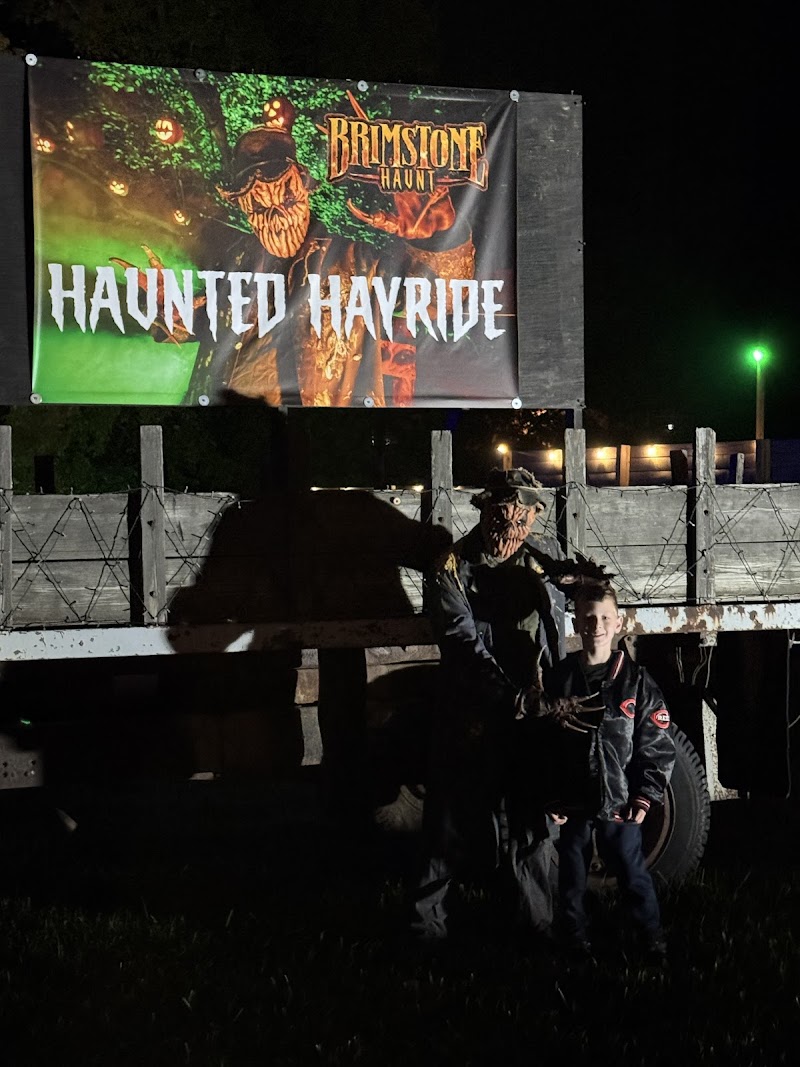 A Build Season Check In with Brimstone Haunt