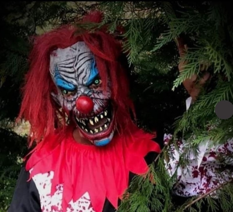 Journey Haunted Trails