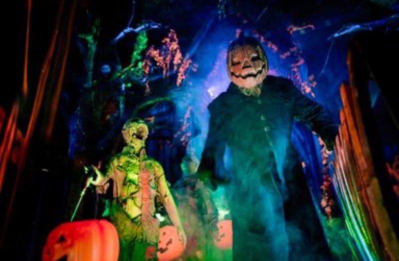 Kim Krypt Haunted