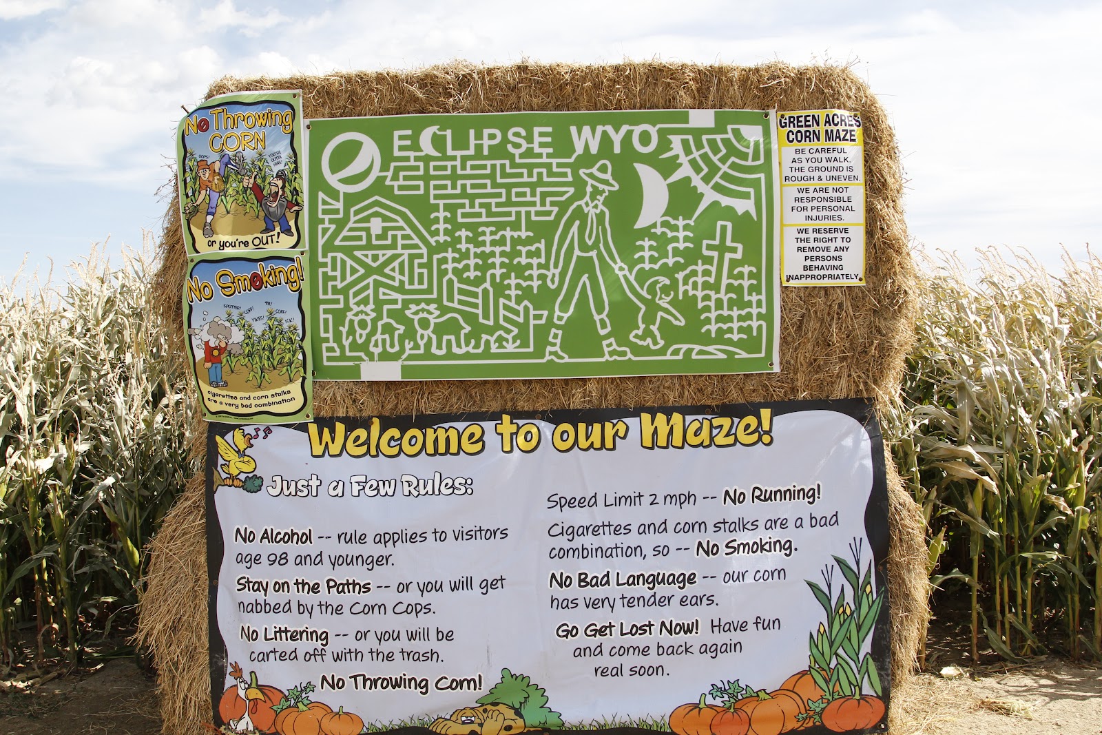 Green Acres Corn Maze