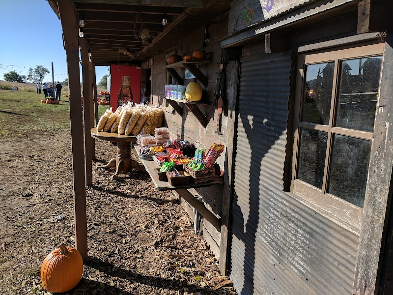 Skinny Bones Haunted Corn Maze