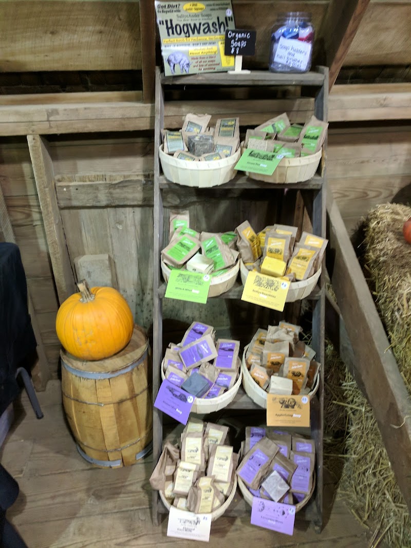 Skinny Bones Haunted Corn Maze