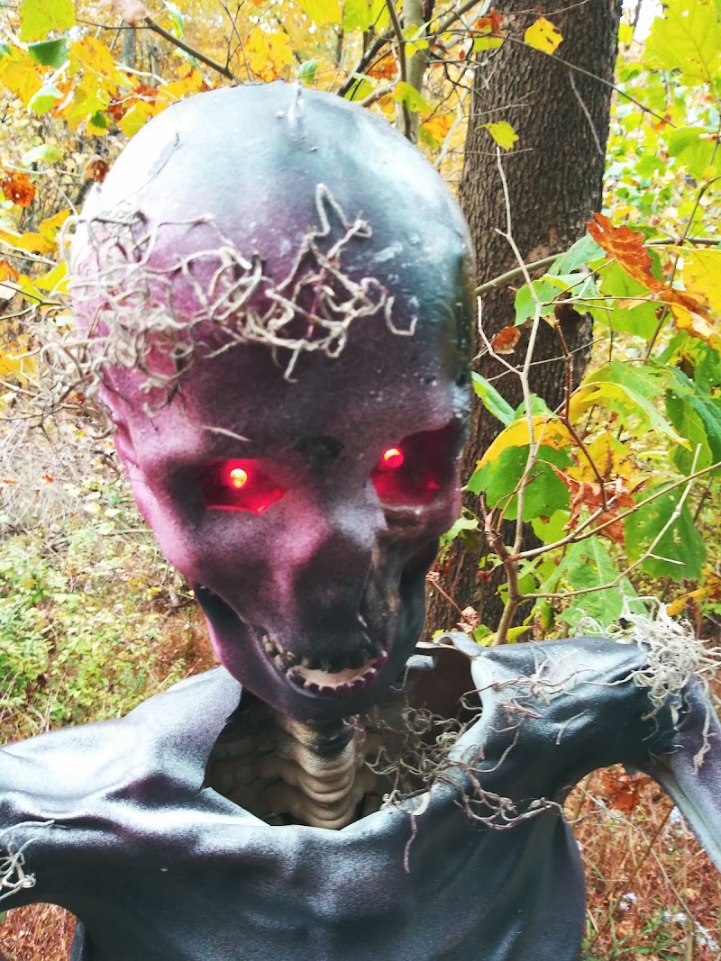 Shady Rest Haunt