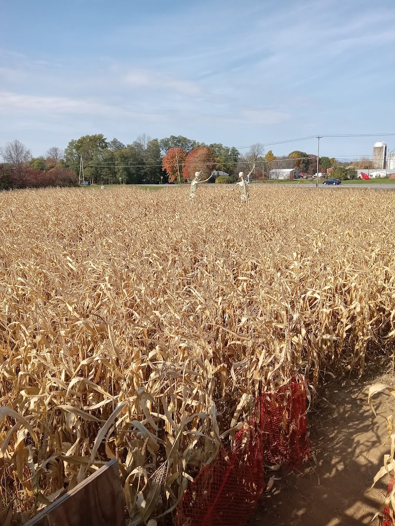Schuyler Farms Haunted Corn Maze - New York ...