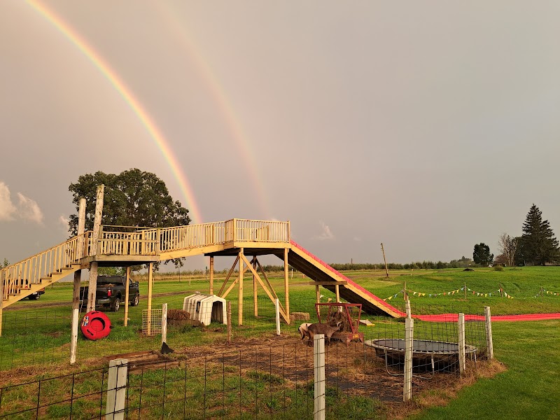 Schuyler Farms Haunted Corn Maze - New York ...