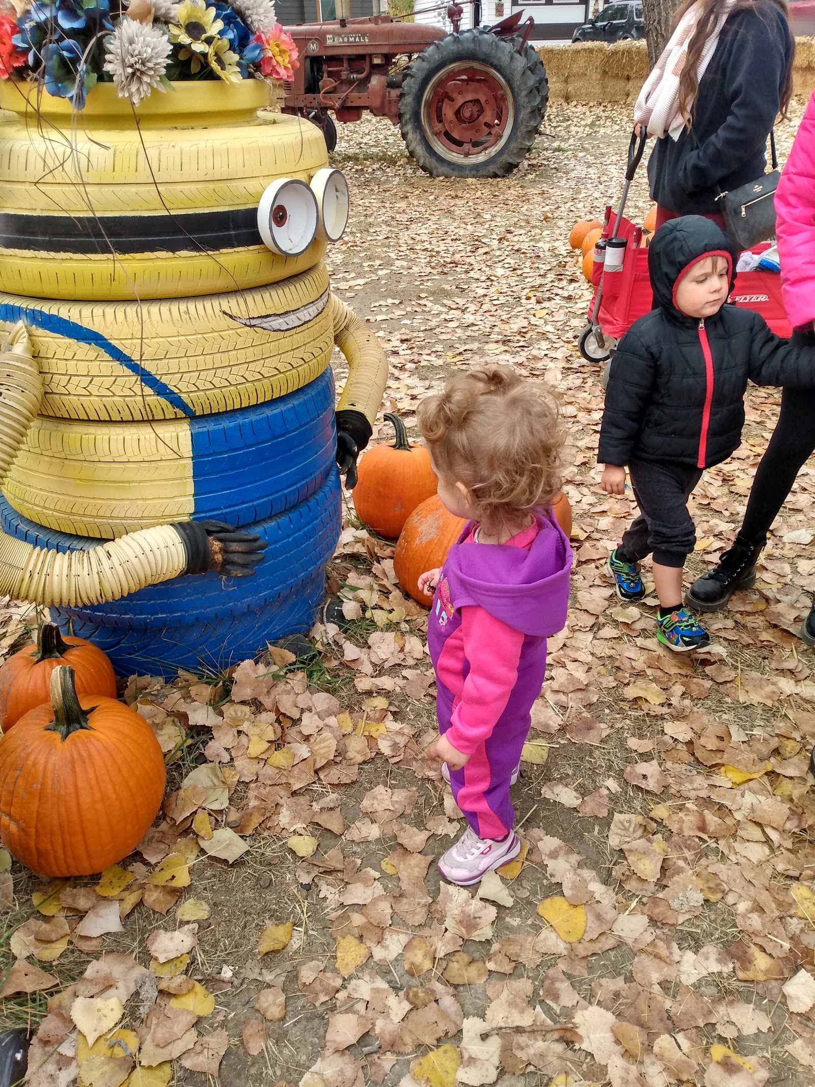 The Haunt at Cottonwood Forest