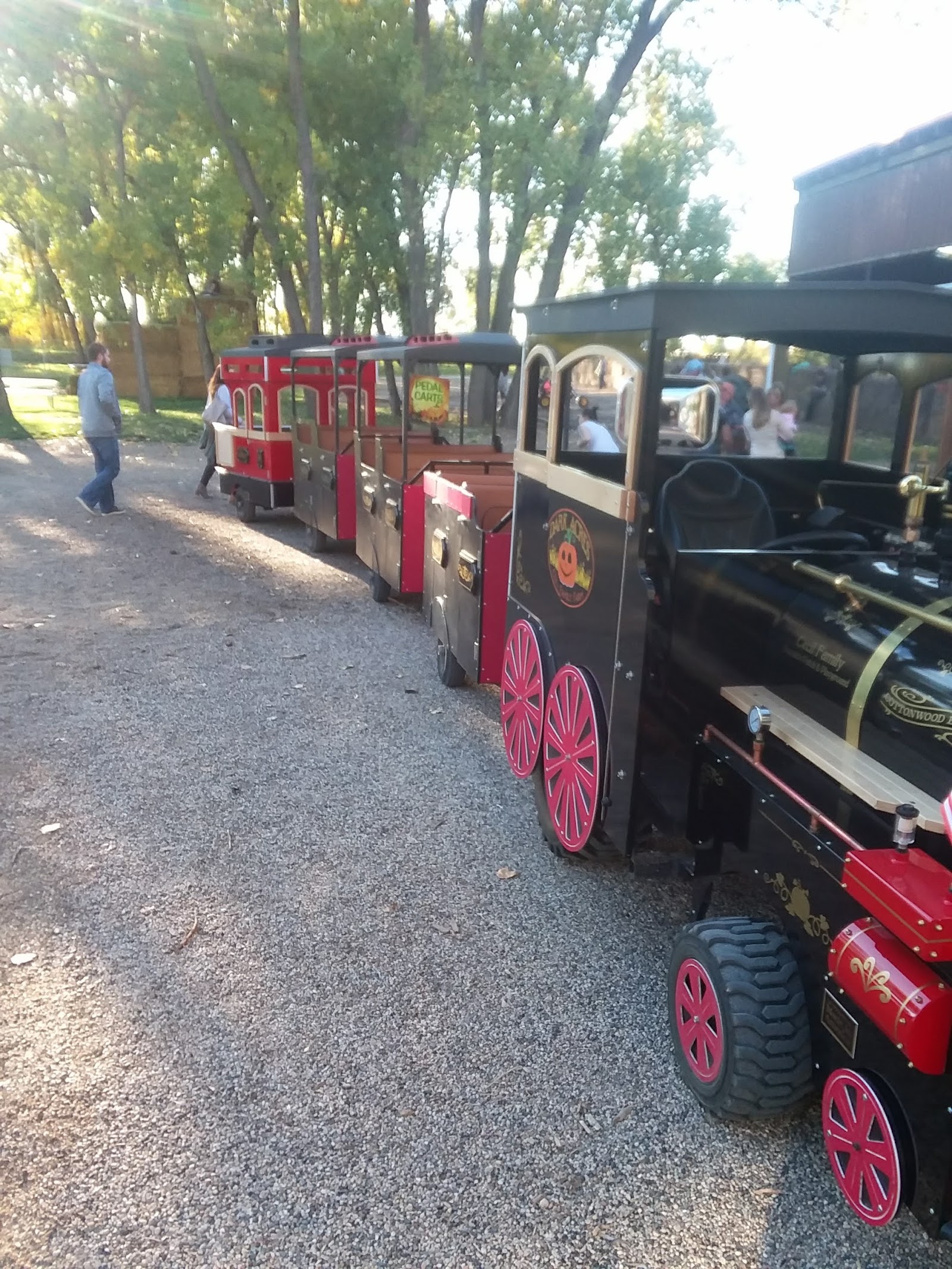 The Haunt at Cottonwood Forest