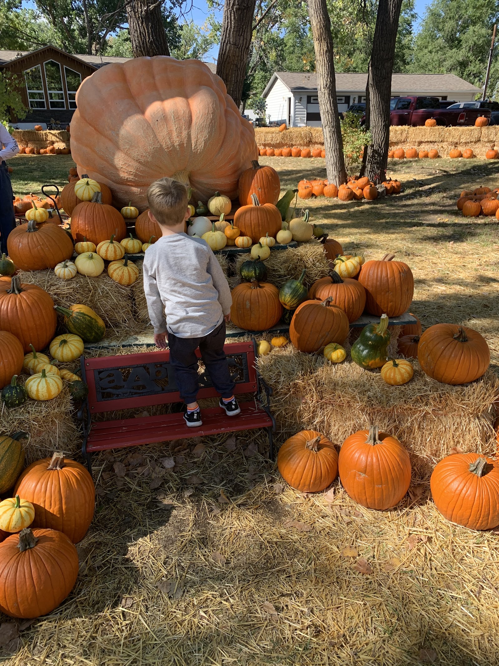 The Haunt at Cottonwood Forest