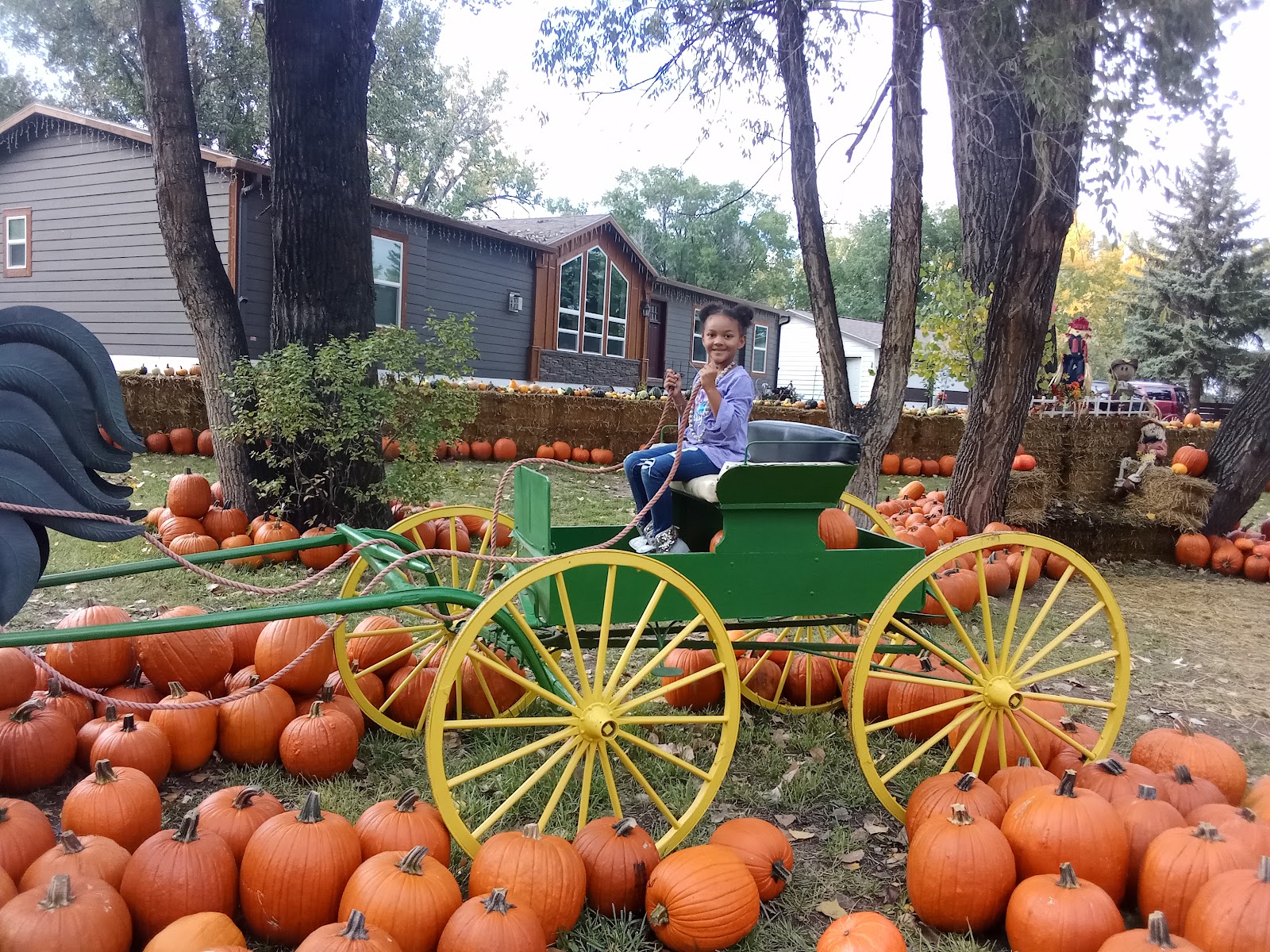 The Haunt at Cottonwood Forest