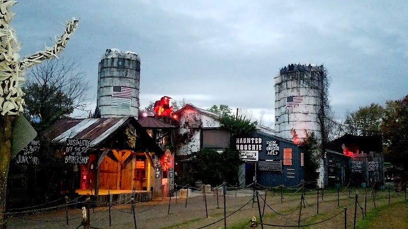 Wicked Forest