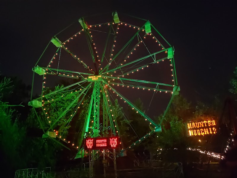 Wicked Forest