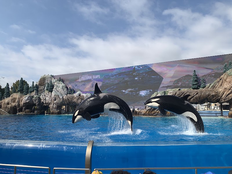 Howl-O-Scream - SeaWorld San Diego - Halloween Event