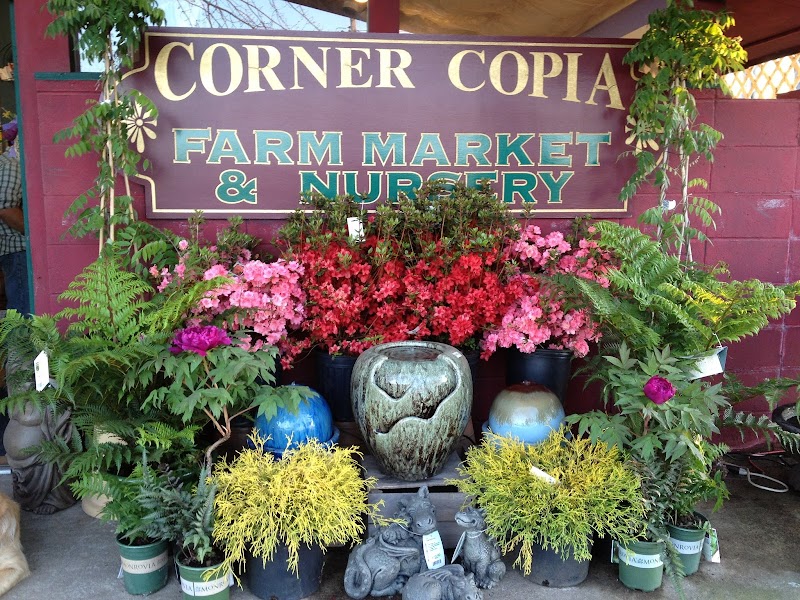 Corn Maze in East Windsor, New Jersey Corner Copia ...