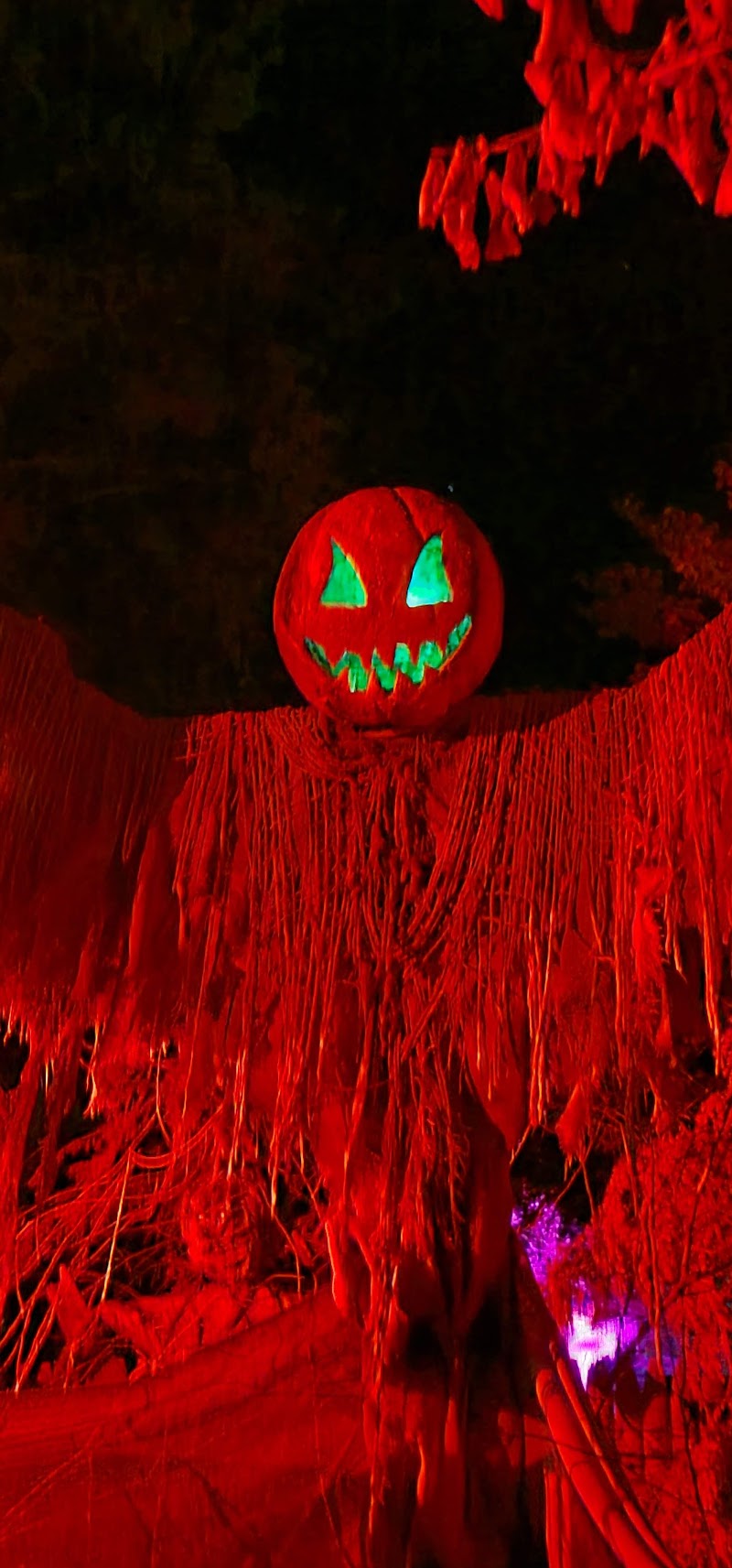 Haunted Grandview Manor