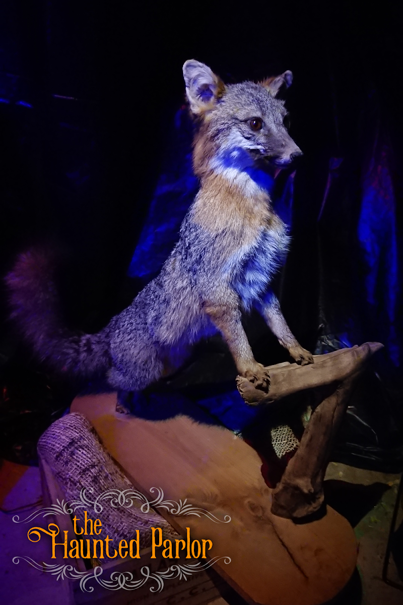 The Haunted Parlor
