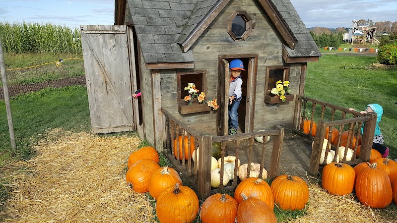 Stalker Farms Haunted Attractions