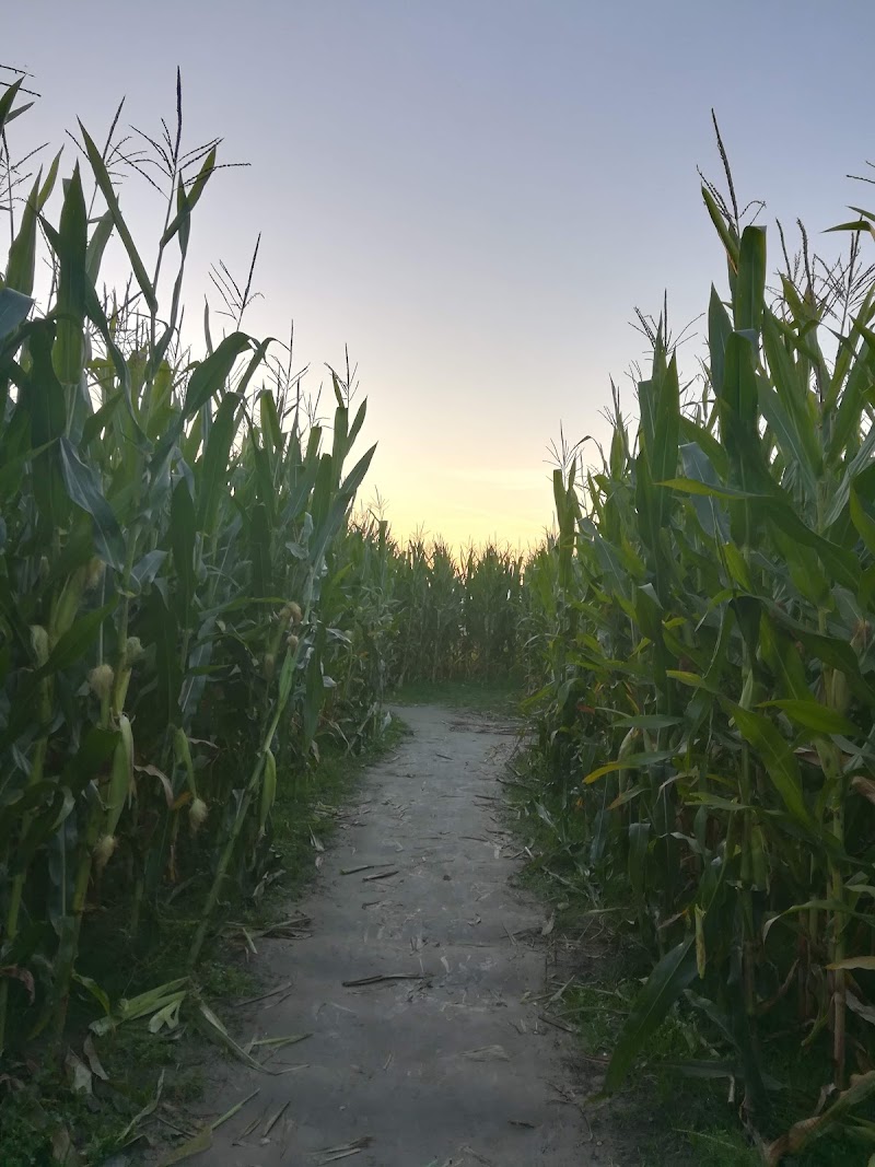 Stalker Farms Haunted Attractions